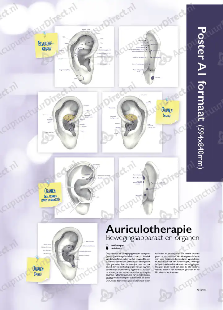 Auriculo Posters van Dianne Sommers - Afbeelding 2