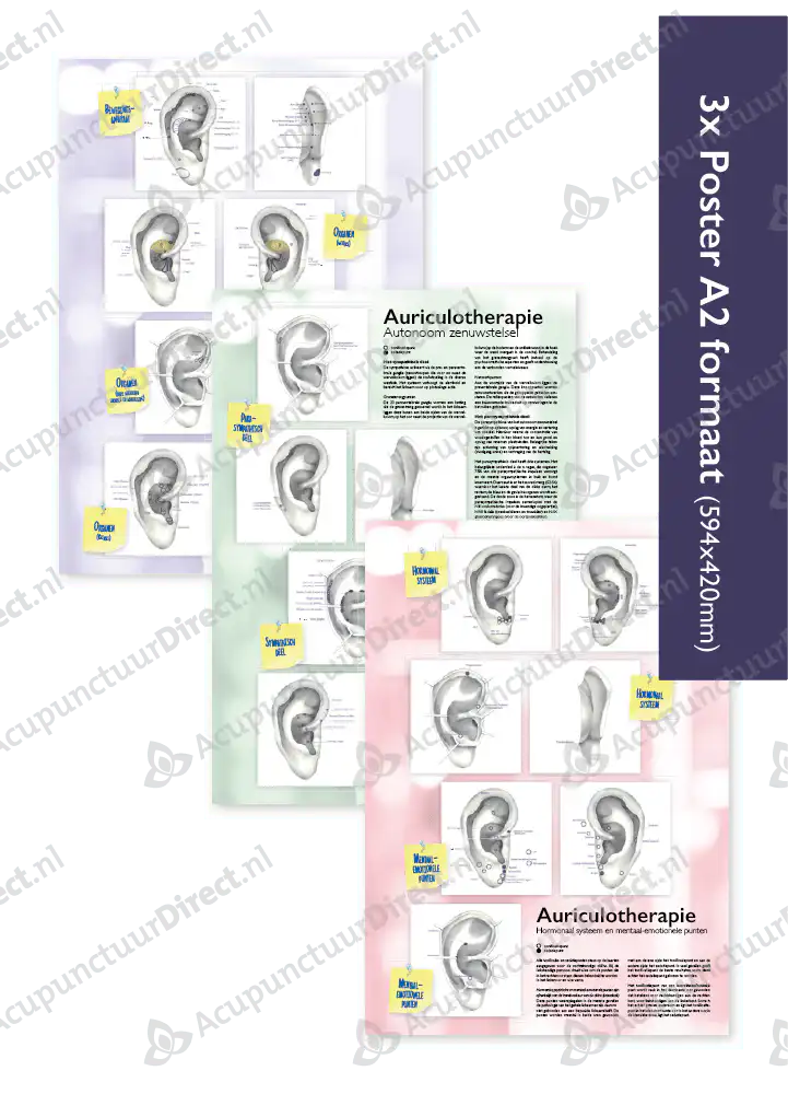 Auriculo Posters van Dianne Sommers - Afbeelding 4