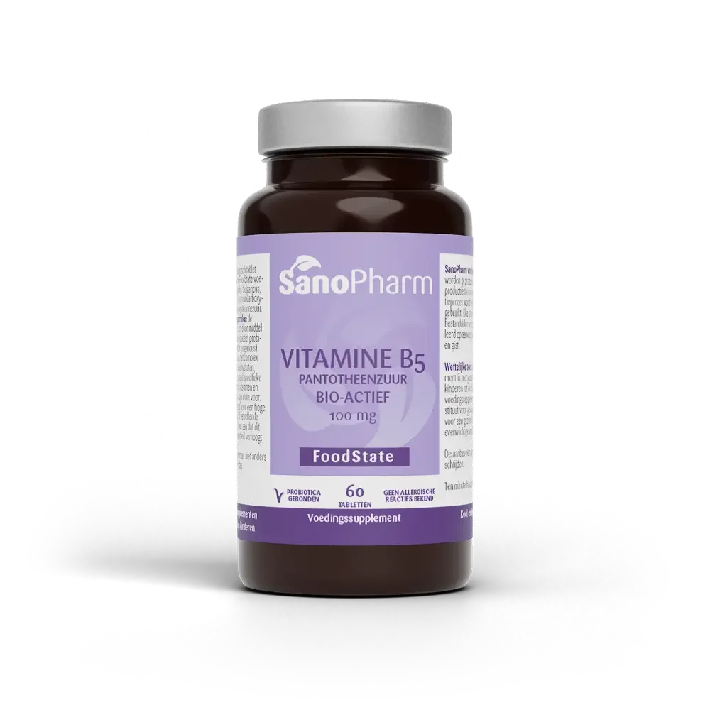 SanoPharm FoodState Vitamine B5