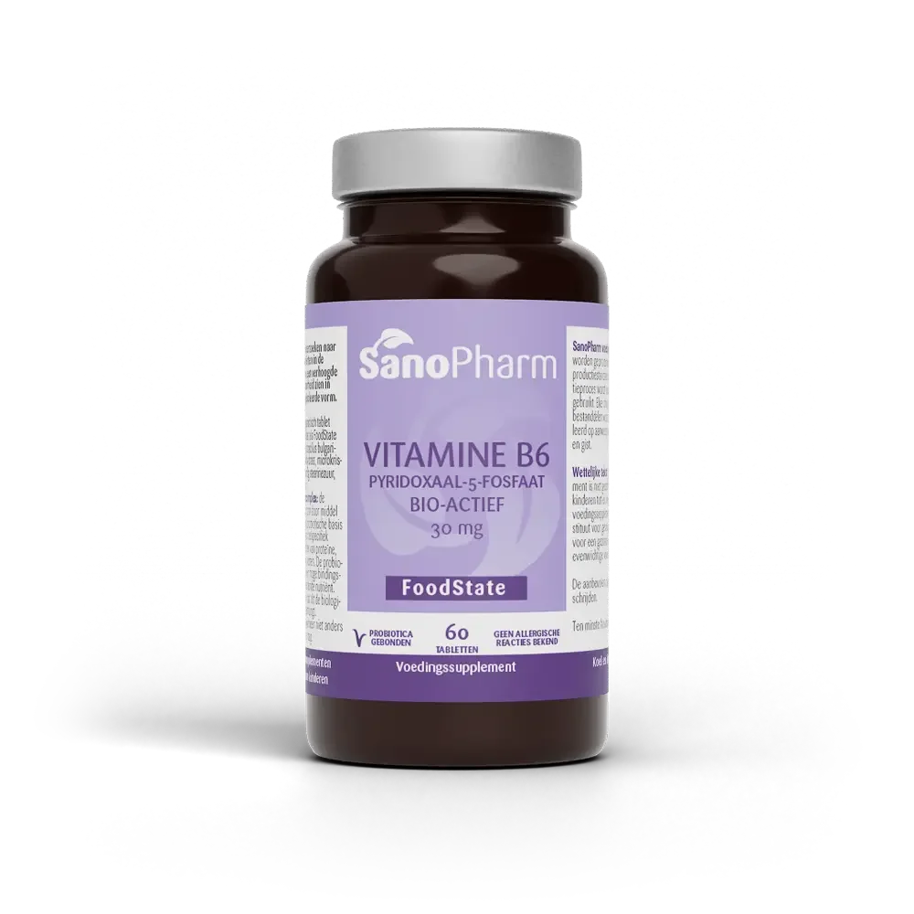 SanoPharm FoodState Vitamine B6